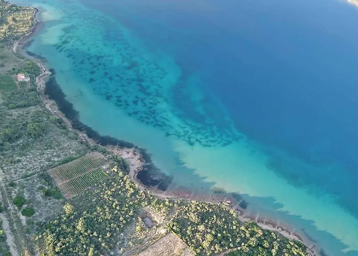 Lägenhet Barbat 17 *