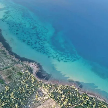 Apartament Barbat 17 *