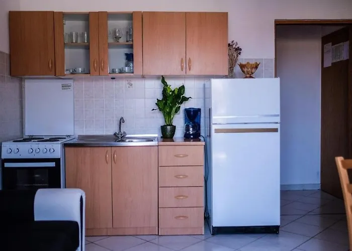 Apartament Barbat 17 *